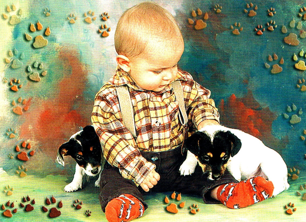Des Cartes Postales De Bebes Par Milliers Collections Delcampe Blog