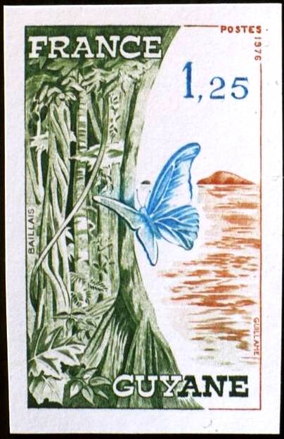 Stamps - Butterflies Set 1 Graphic by DaniJo Avia Designs · Creative Fabrica