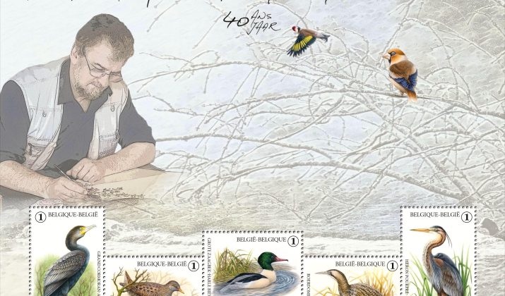 Fêtez les 40 ans des oiseaux d’André Buzin