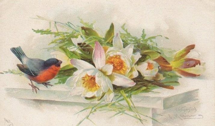 Postcards by Catharina Klein