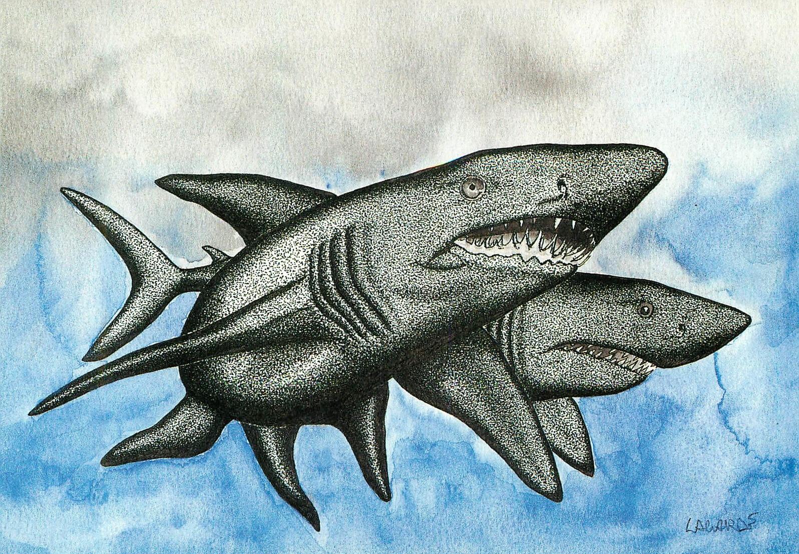 Tiburones