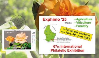 Exphimo2025 En