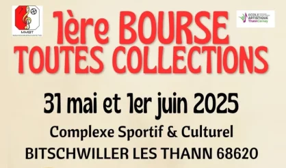 Bourse Toutes Les Collections 31 Mai 1er Juin 2025